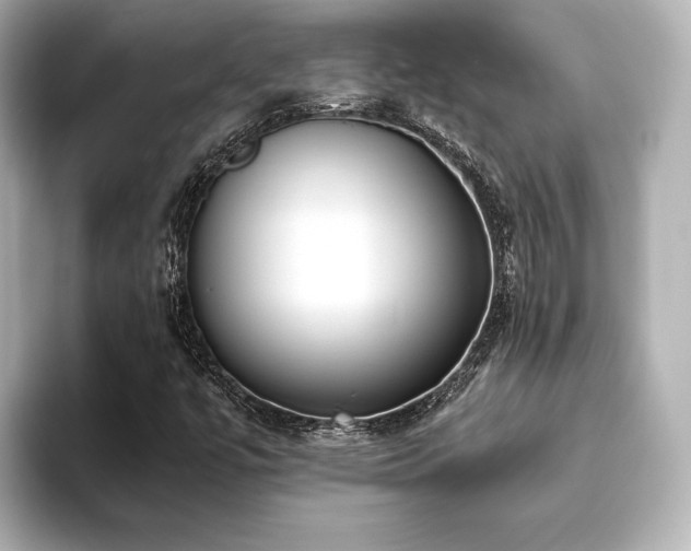 X0000093611447200710151230