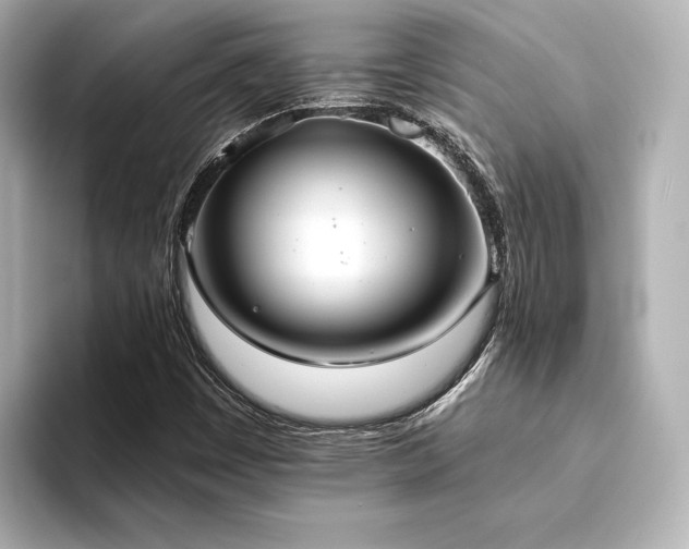 X0000093611449200710151230