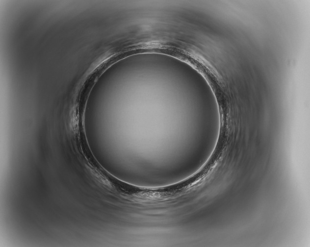 X0000093611450200710151230