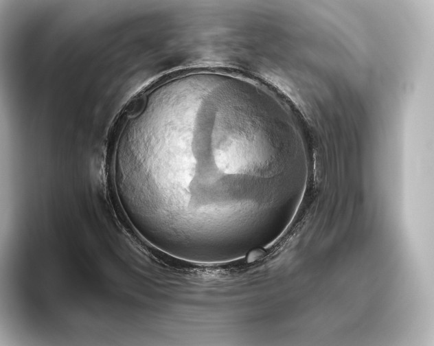 X0000093611452200710151230