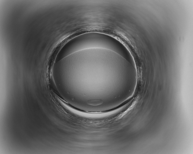 X0000093611453200710151230