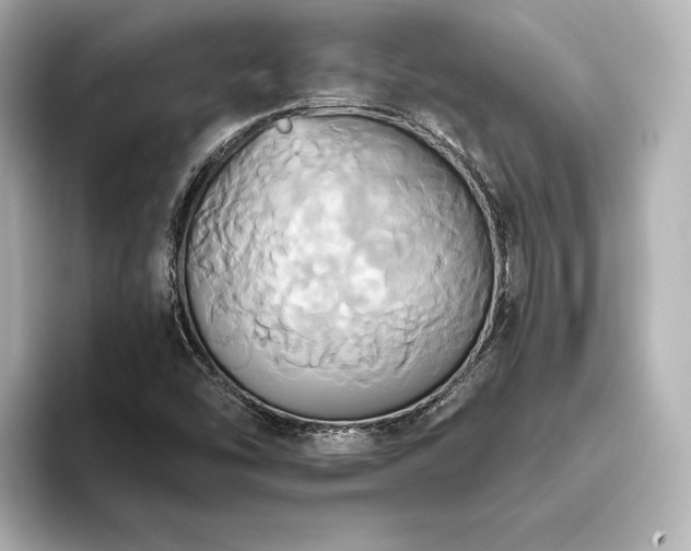 X0000093611454200710151230