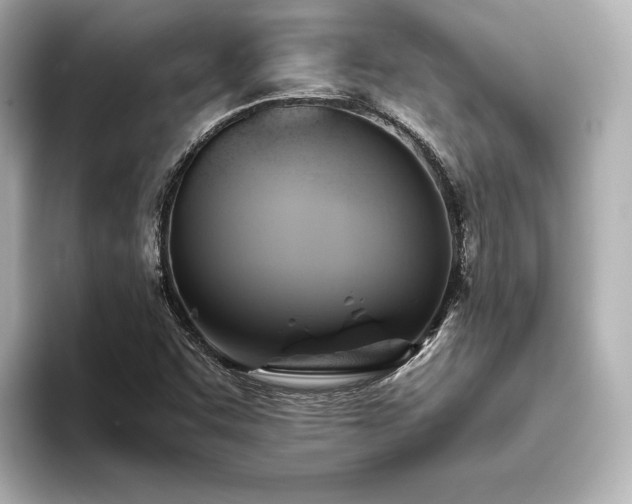 X0000093611455200710151230