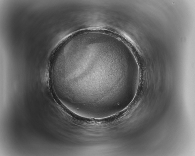 X0000093611456200710151230