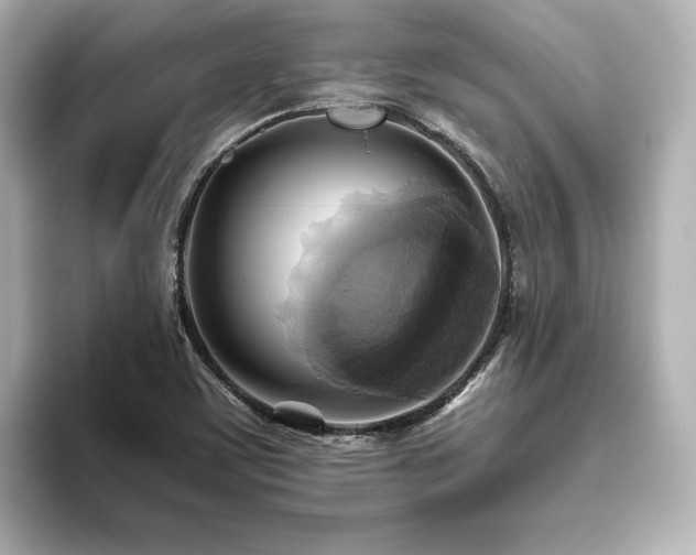 X0000093611459200710151230