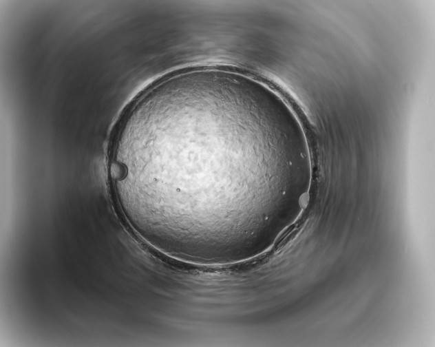X0000093611460200710151230
