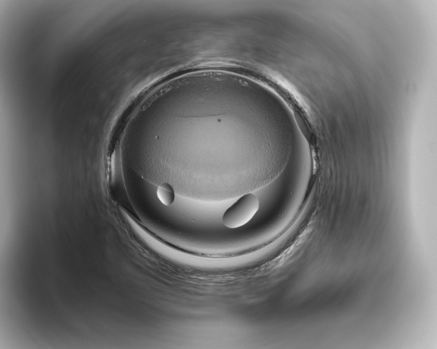 X0000093611461200710151230