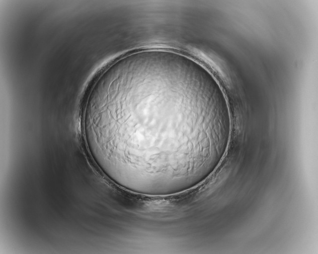 X0000093611462200710151230