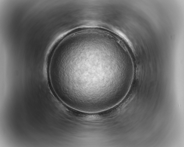 X0000093611464200710151230