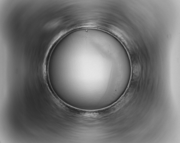 X0000093611466200710151230