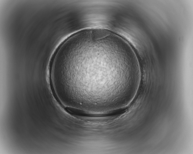 X0000093611468200710151230