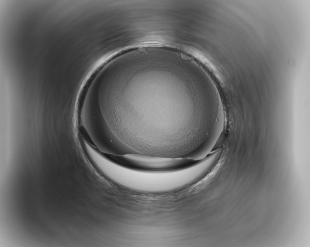 X0000093611469200710151230