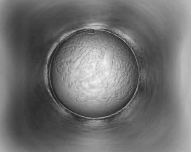 X0000093611470200710151230