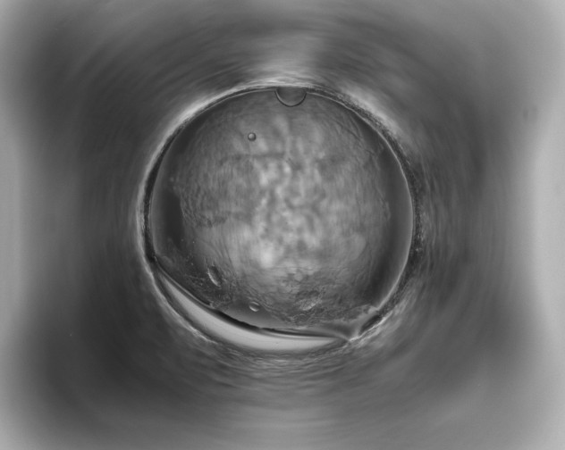 X0000093611471200710151230