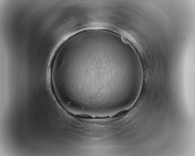 X0000093611472200710151230