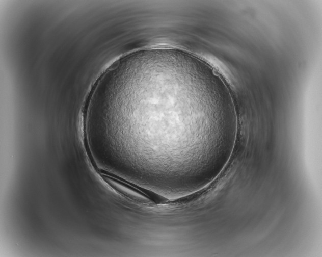 X0000093611476200710151230