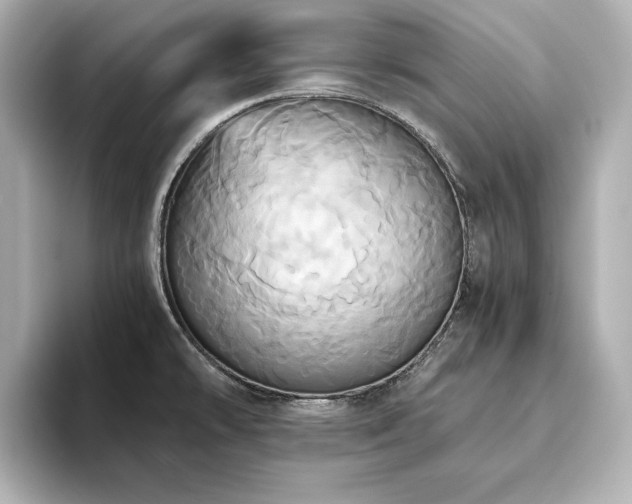 X0000093611478200710151230
