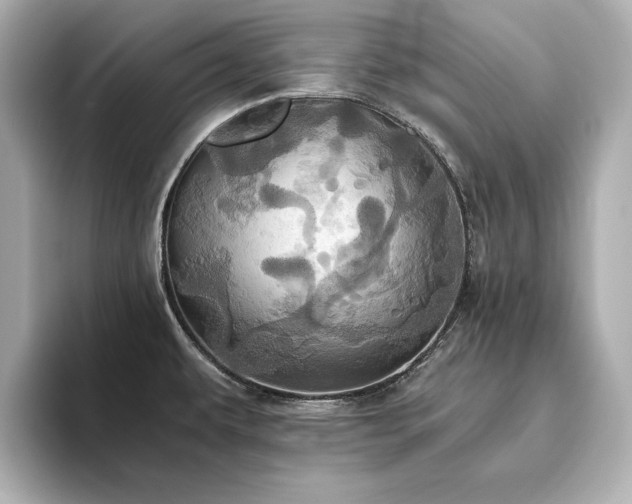 X0000093611479200710151230