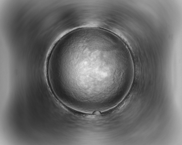 X0000093611480200710151230