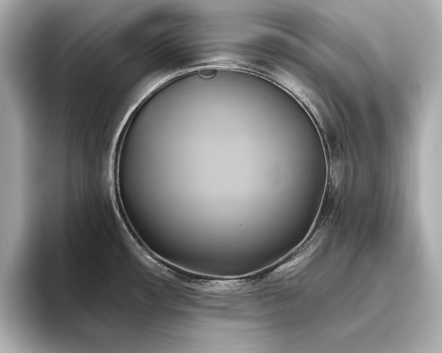 X0000093611482200710151230