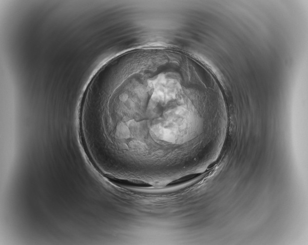 X0000093611483200710151230