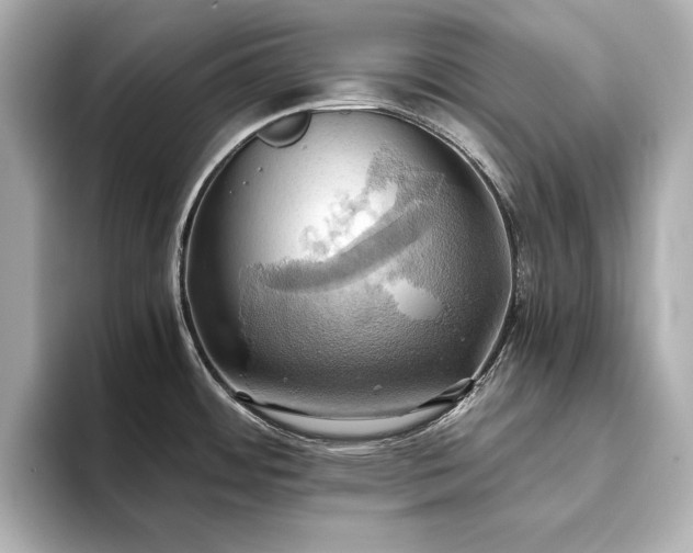 X0000093611484200710151230