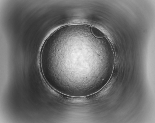 X0000093611486200710151230