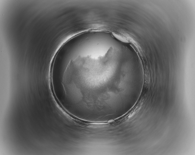 X0000093611487200710151230