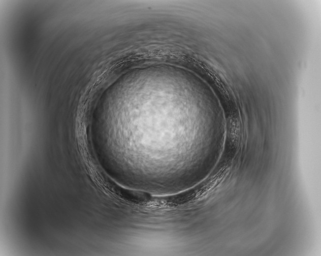 X0000093611489200710151229