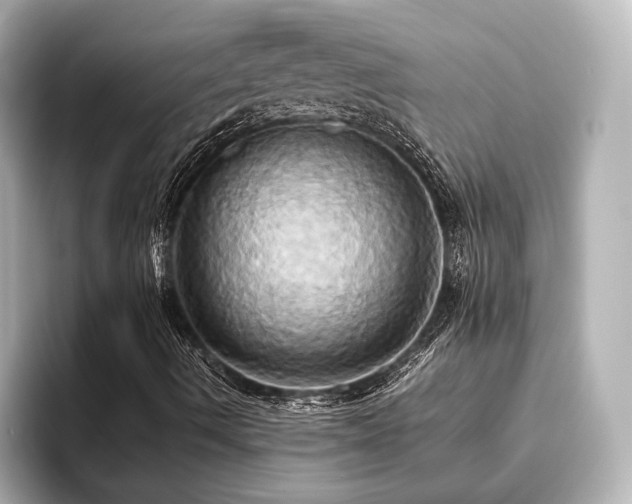 X0000093611490200710151229