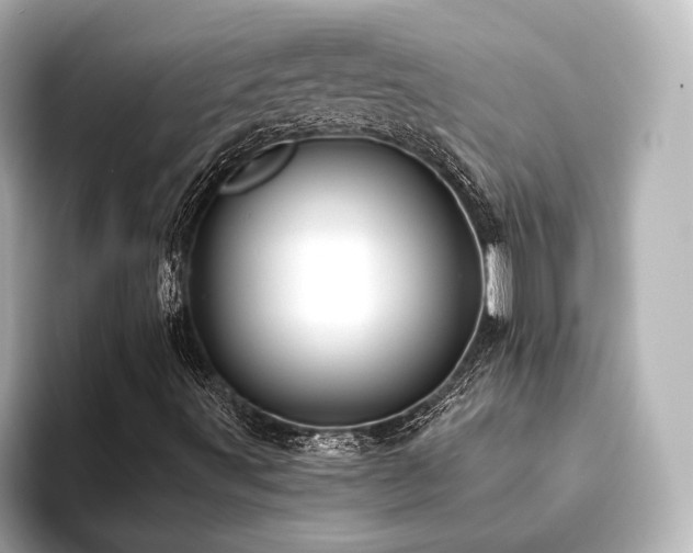 X0000093611491200710151229