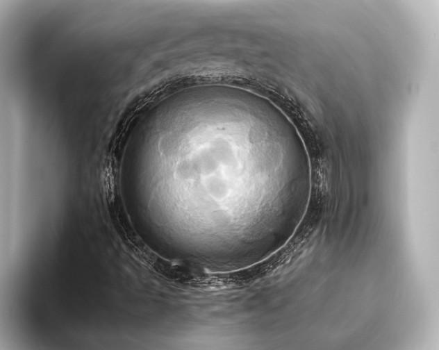 X0000093611493200710151229