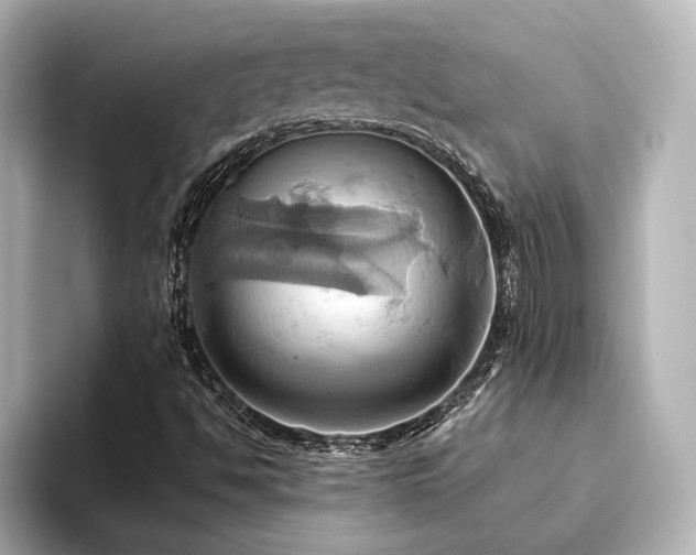 X0000093611494200710151229