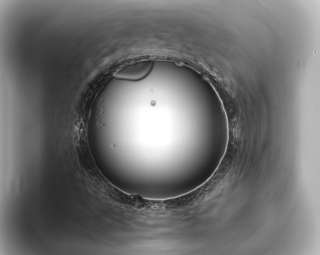 X0000093611495200710151229