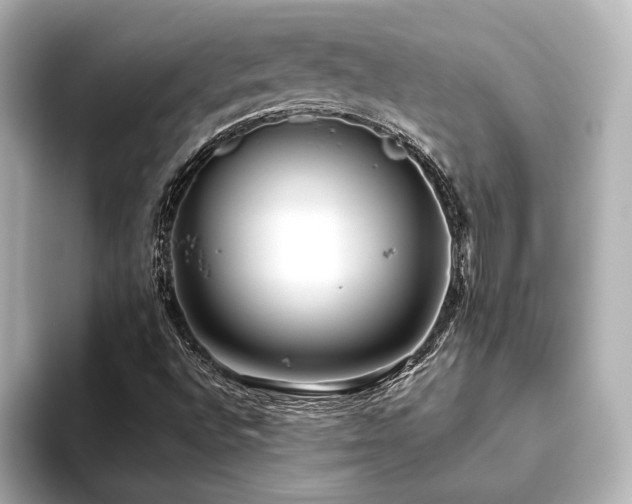 X0000093611496200710151229