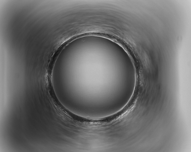 X0000093611497200710151229