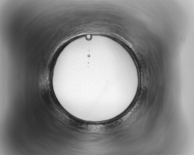 X0000093611498200710151229