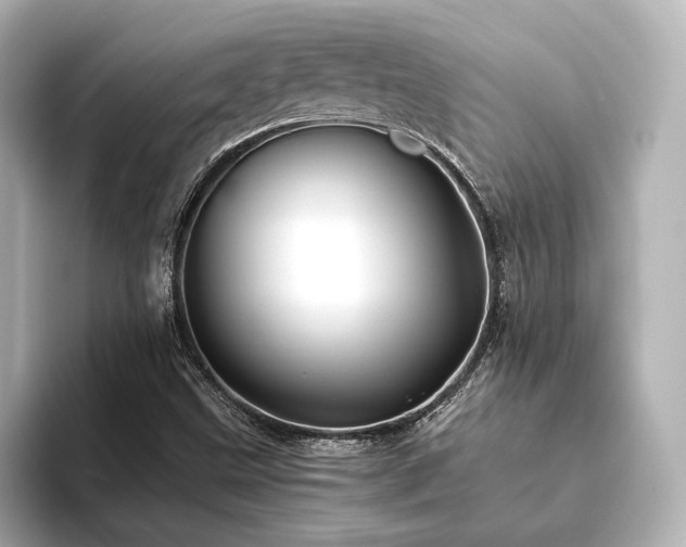 X0000093611499200710151229