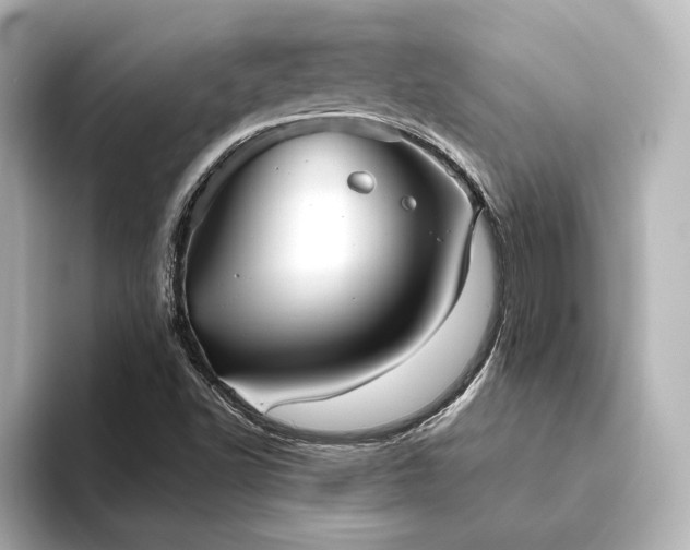 X0000093611502200710151229