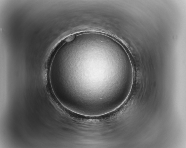 X0000093611503200710151229