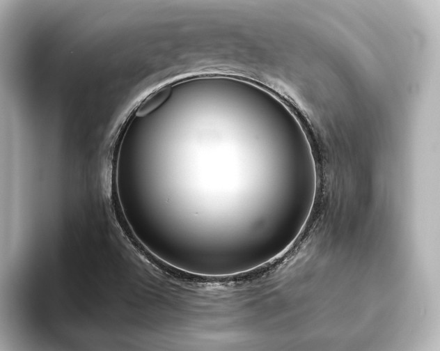 X0000093611504200710151230