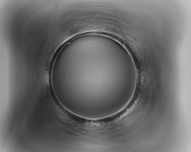 X0000093611505200710151230