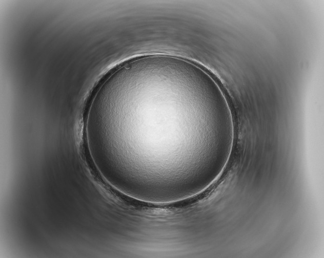 X0000093611507200710151230