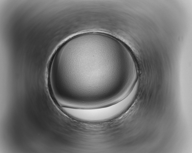 X0000093611508200710151230