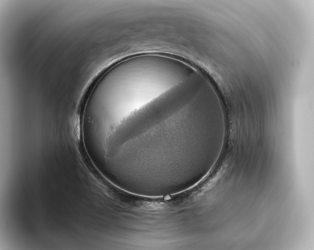 X0000093611509200710151230
