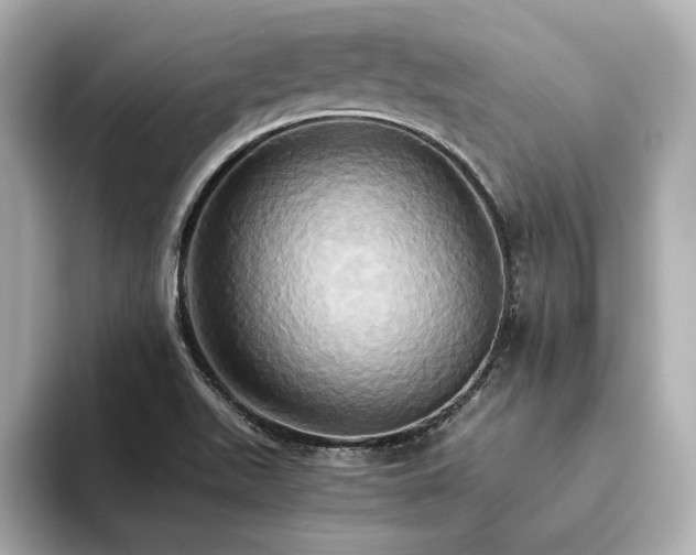 X0000093611511200710151230