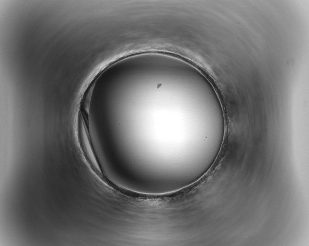 X0000093611512200710151230