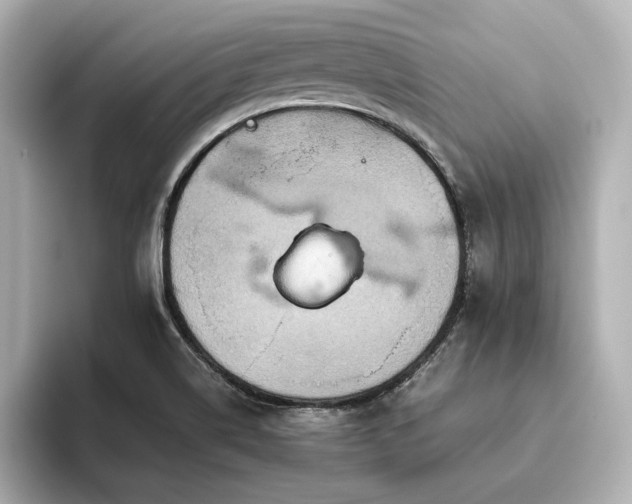 X0000093611514200710151230