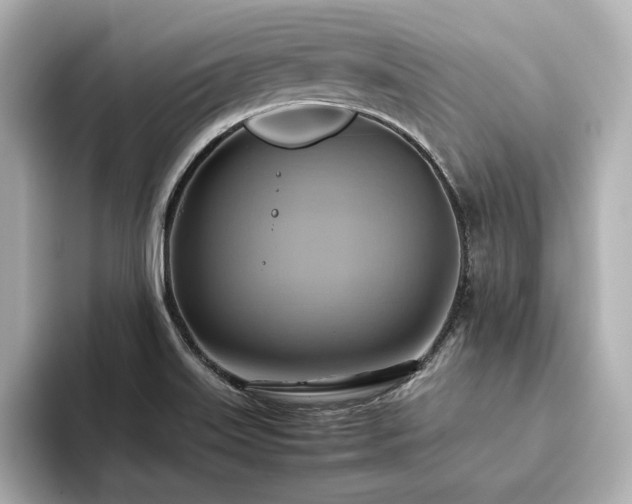 X0000093611515200710151230