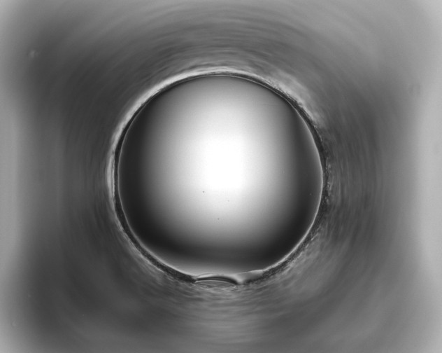 X0000093611516200710151230